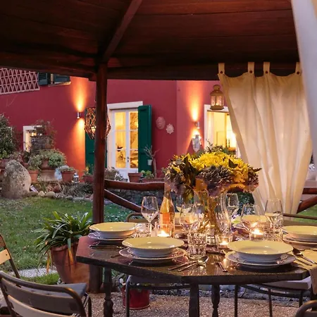 Catia Farmhouse, Three Luxury Bedrooms, A Jacuzzi Pool And A Dream-like Getaway Experience *